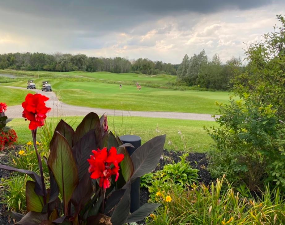 Cardinal Golf Club: Red Crest, King City