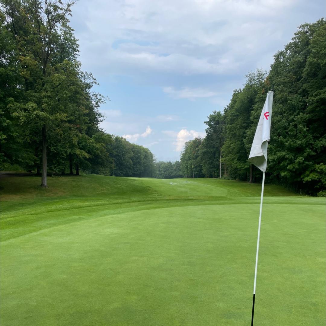 Masters Course, Brampton