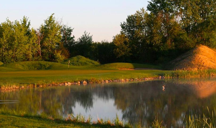Quarry Oaks: Oak/Desert, Steinbach