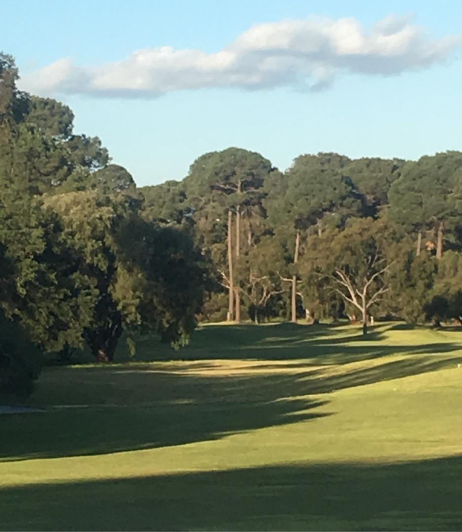 Collier Park Golf Course: Island/Lake, Como Wa