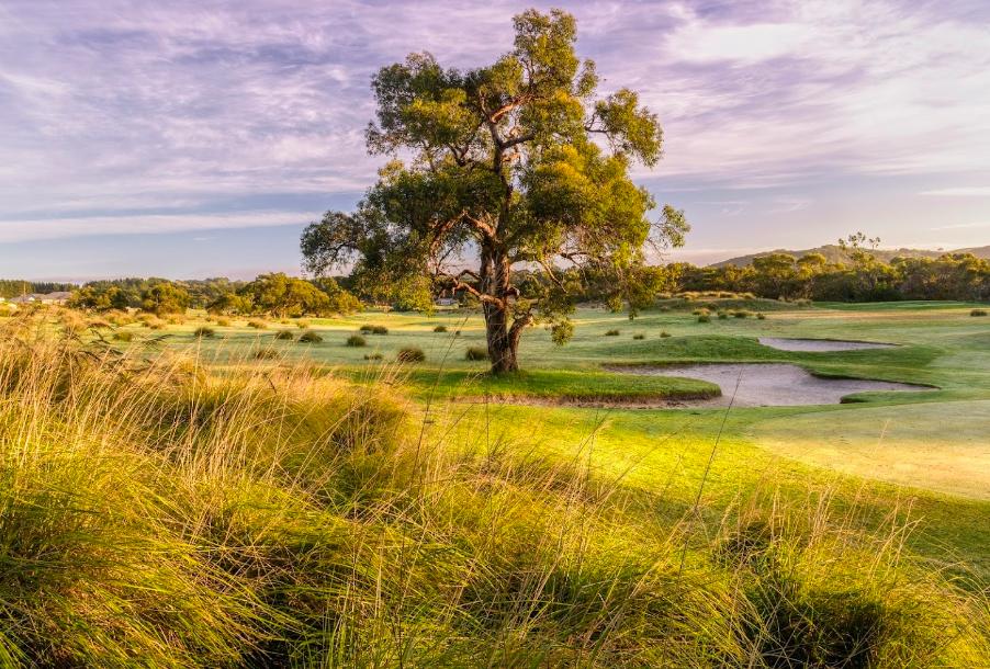 Mount Compass Golf Course, Mount Compass