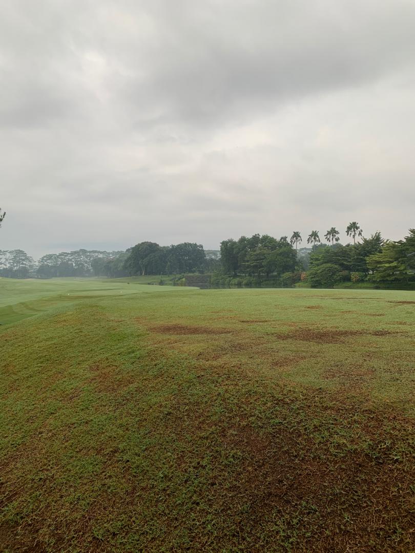 Emeralda Golf Club: River/Lake, Depok