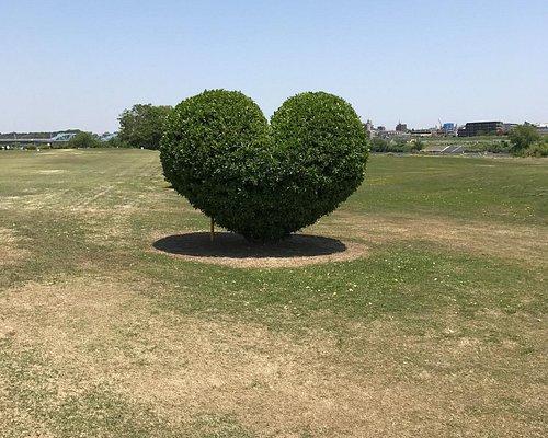 Tamagawa Golf Club, Kawasaki