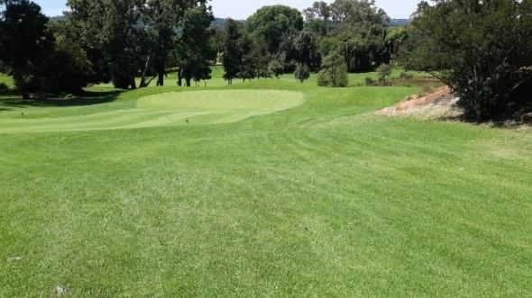 Randpark Golf Club: Bushwillow, Johannesburg