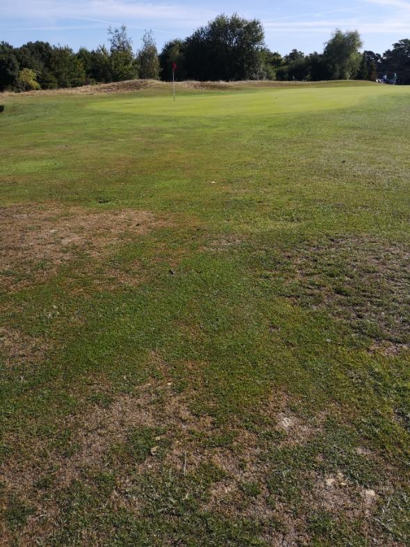 Cams Hall Estate Golf Club: Creek Course, Fareham