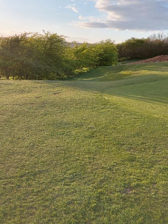 Etchinghill Golf Club: Leas, Folkestone