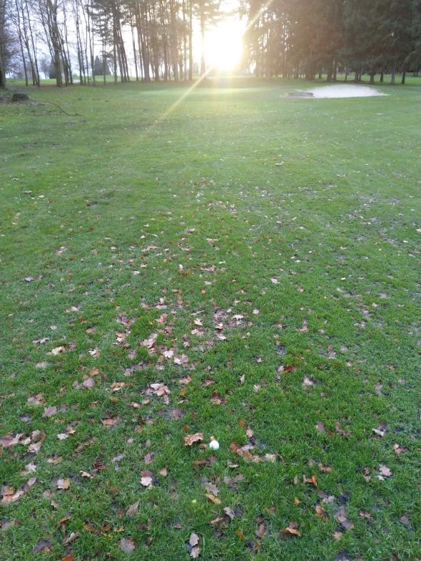 Hoebridge Golf Centre: Shey Copse, Old Woking