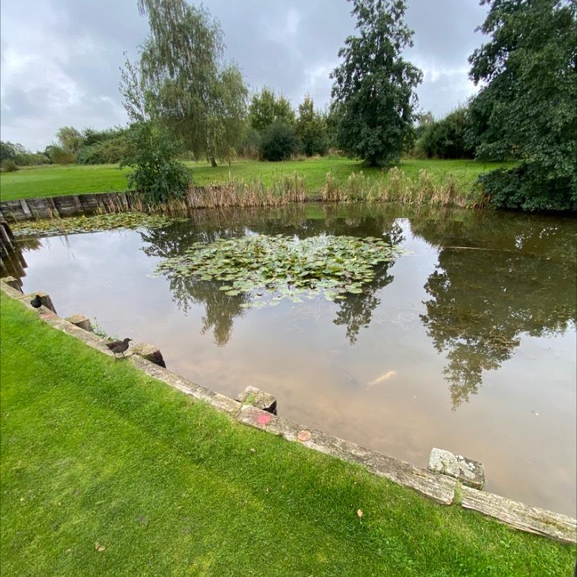 Langdon Hills Golf & Country Club: Bulphan/Horndon, Upminster