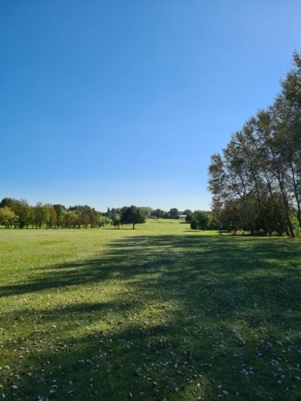 Stock Brook Country Club: Brook/Manor, Billericay
