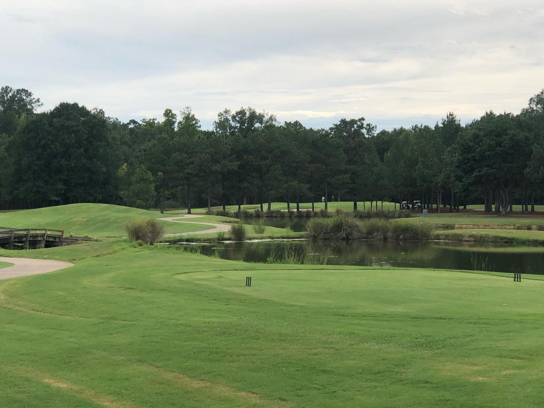 Bent Brook Golf Course: Brook/Graveyard, Bessemer