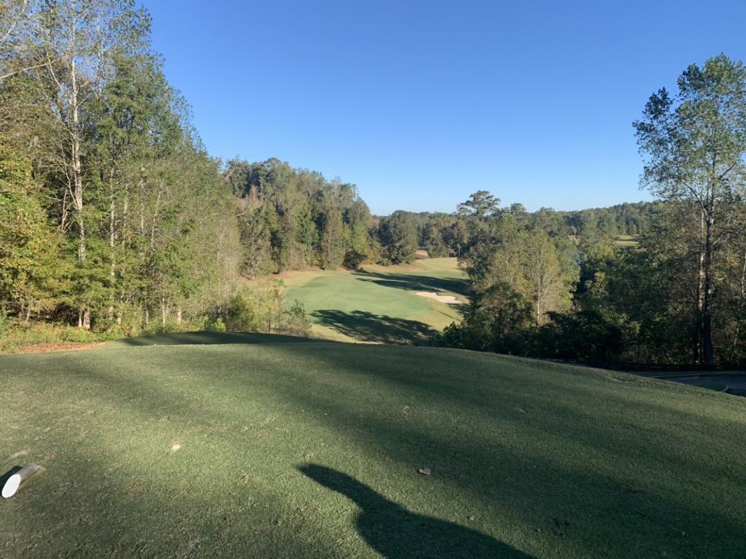 Cambrian Ridge Golf Course: Sherling/Loblolly, Greenville