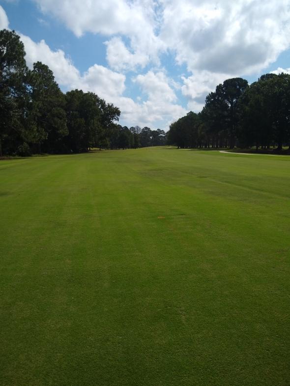 Cypress Tree Golf Courses: University, Montgomery