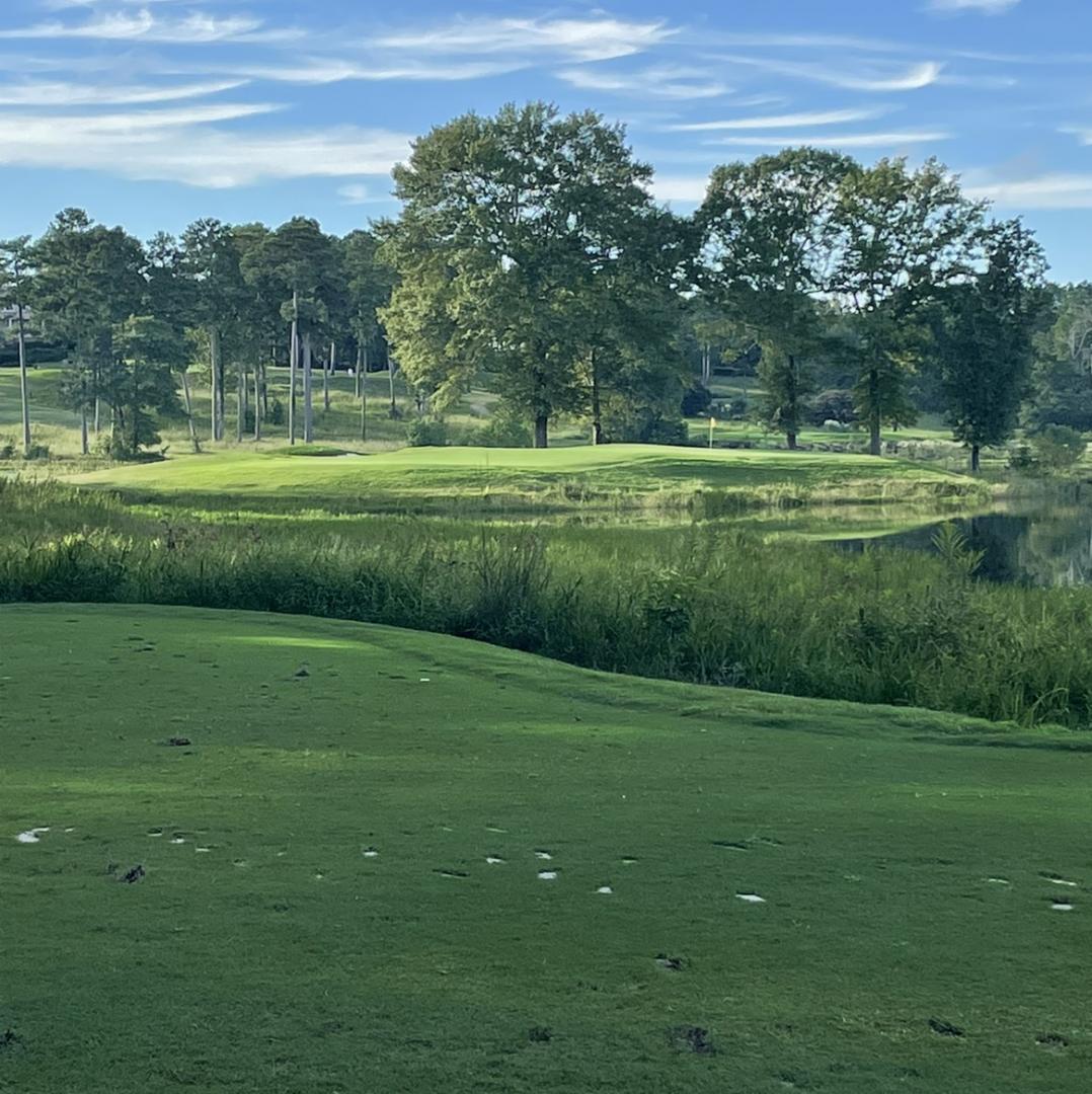 Grand National Golf Course: The Lakes, Opelika