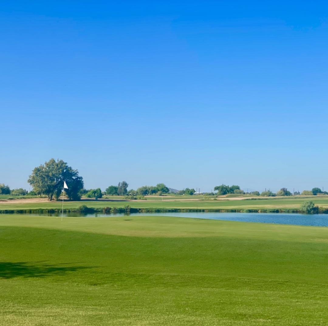 Bear Course, Chandler