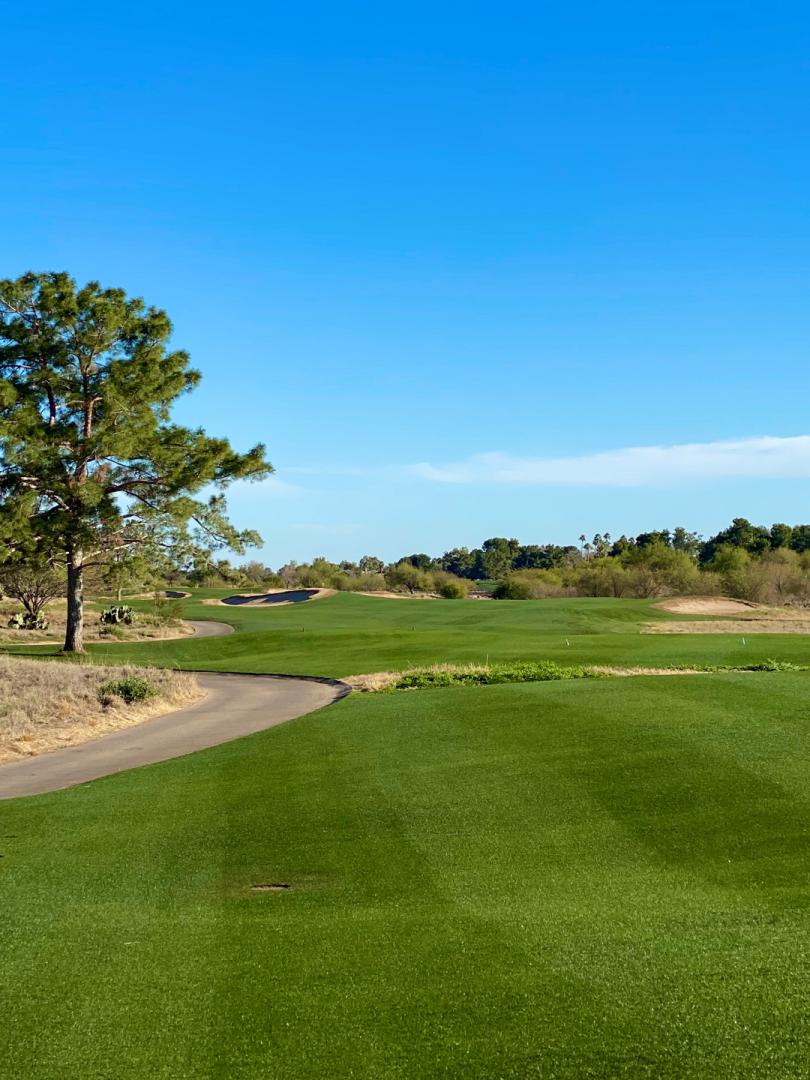 Camelback Golf Club: Ambiente, Paradise Valley