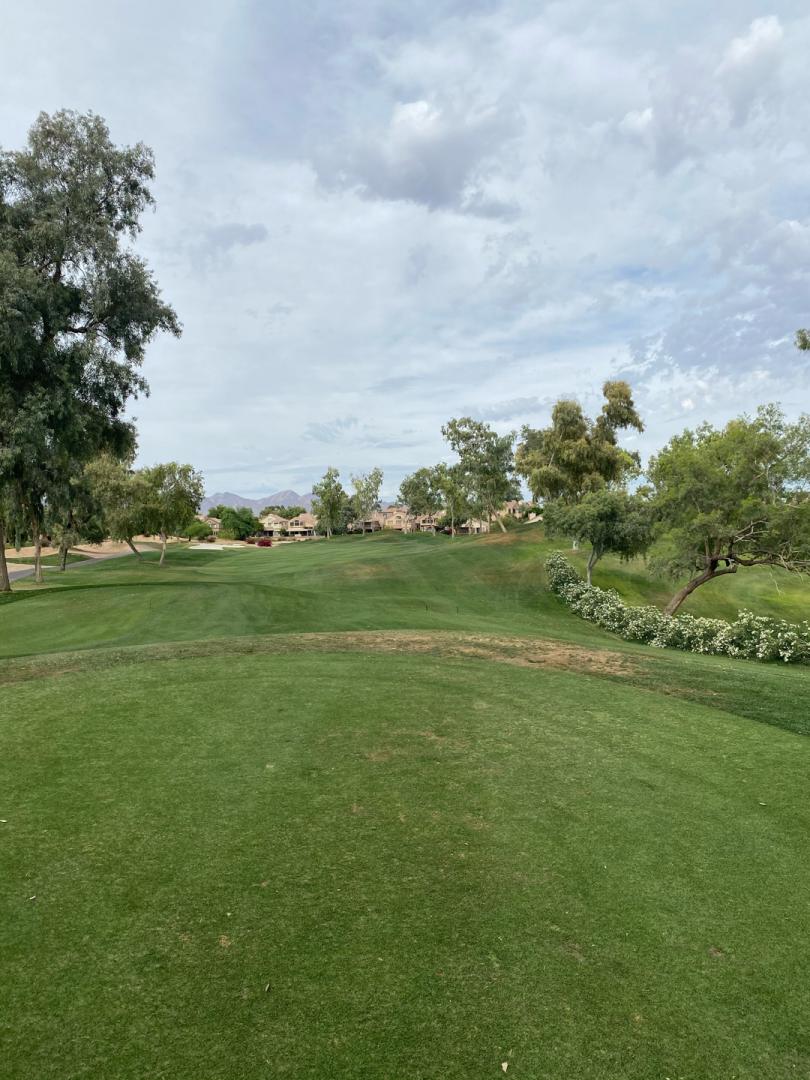 Gainey Ranch: Dunes/Arroyo, Scottsdale