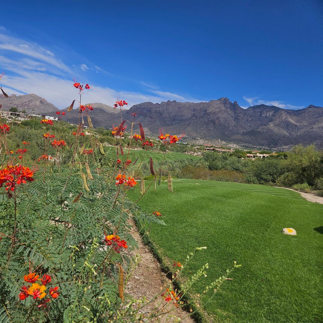 La Paloma CC: Canyon/Hill, Tucson
