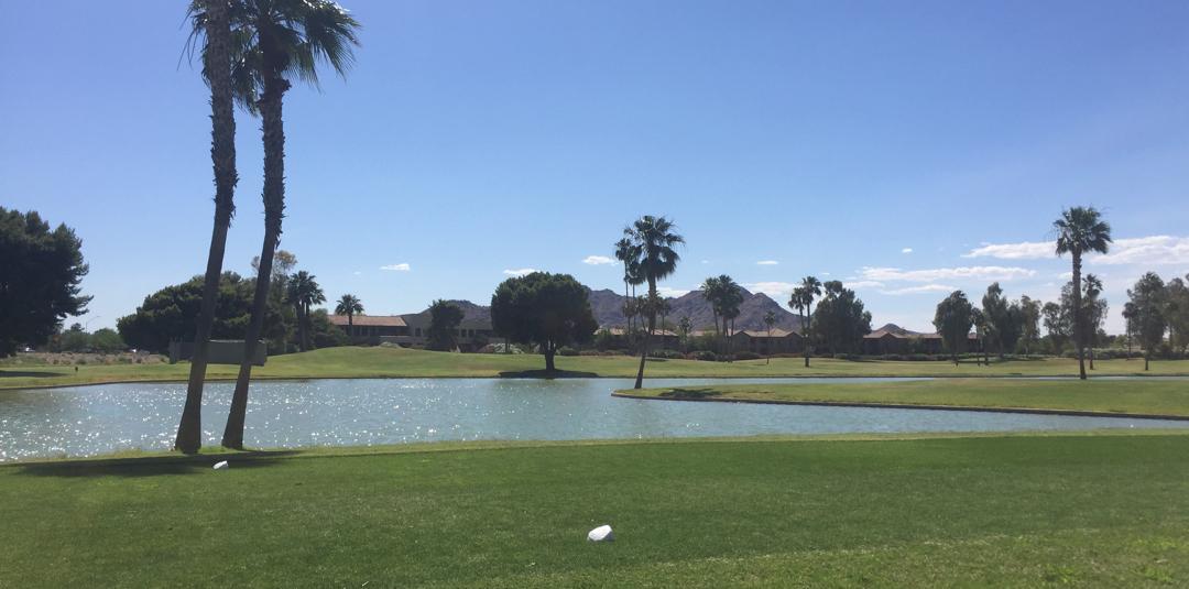 Palm Course, Scottsdale
