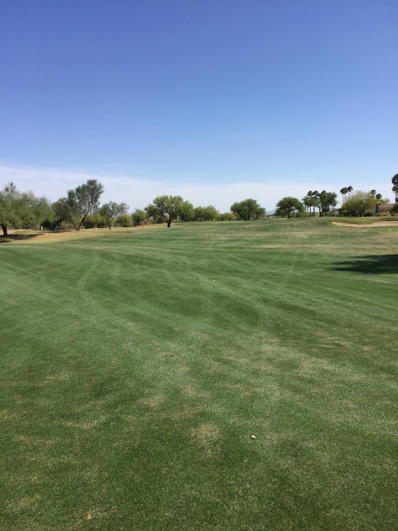 Rio Verde CC: White Wing, Rio Verde
