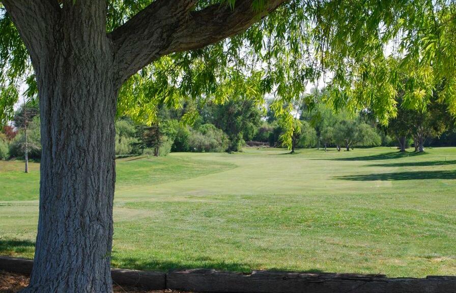 Jack Tone Golf, Ripon