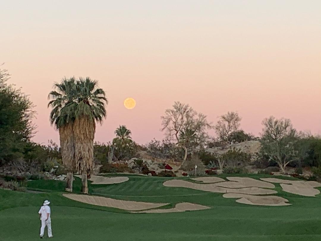 The Vintage Club: Desert, Indian Wells