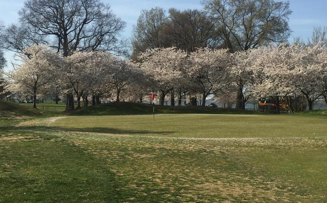 East Potomac Golf Links: Blue, Washington