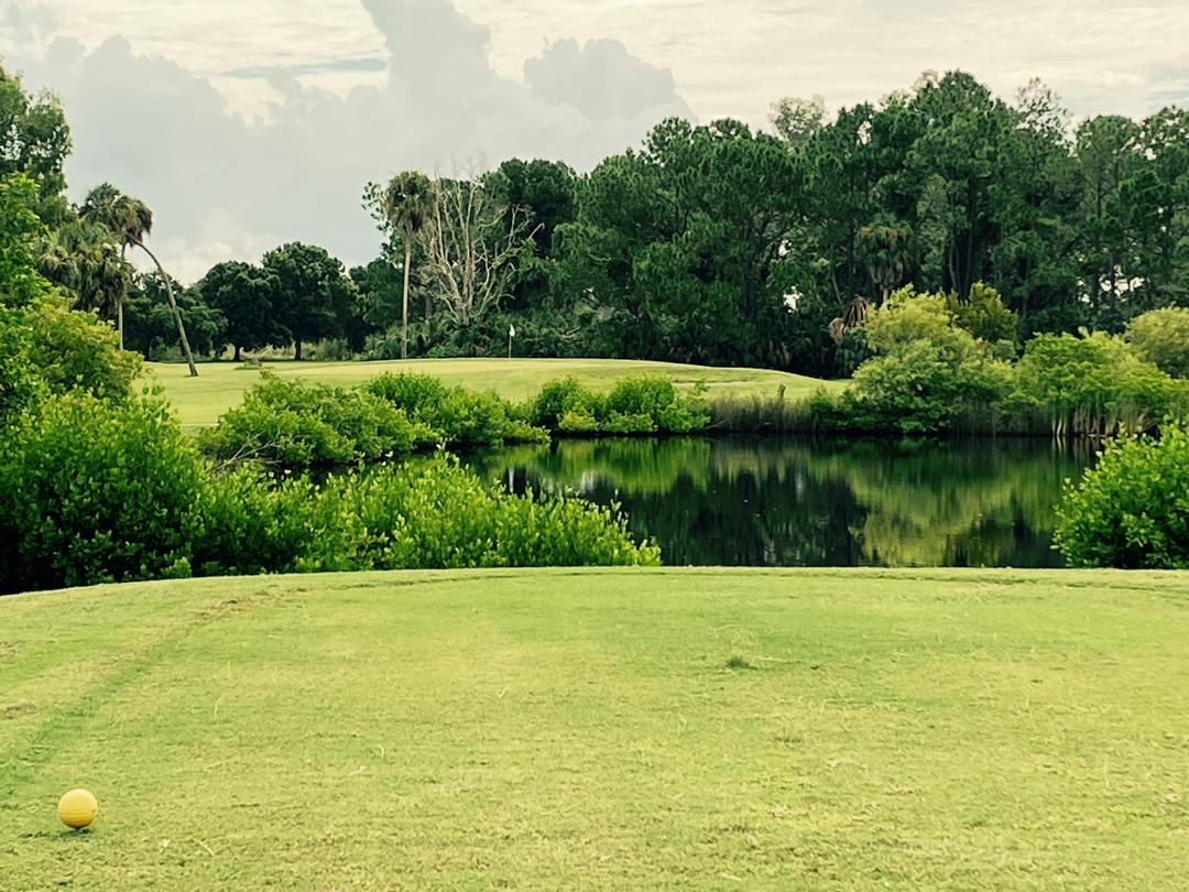 Bay Palms Golf Complex: North, Tampa