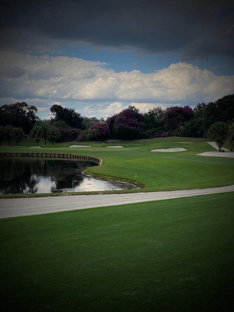 Bonita Bay Club: Creekside, Bonita Springs