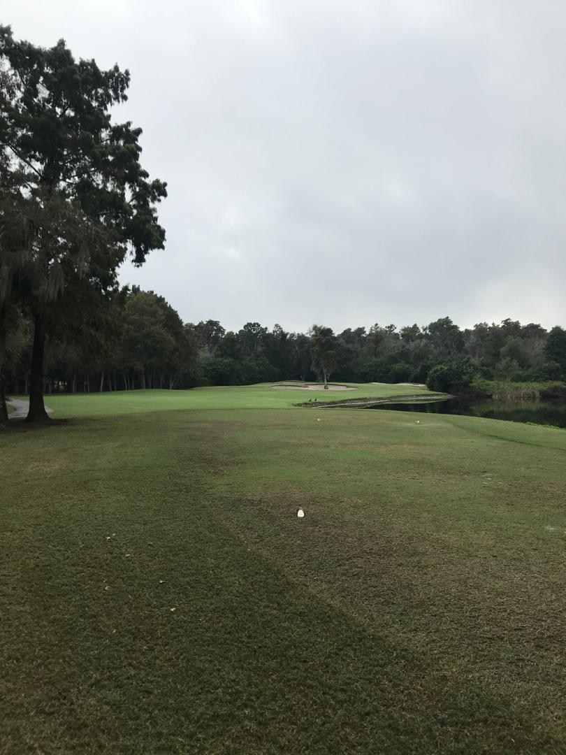 Innisbrook A Salamander Resort : Island, Palm Harbor