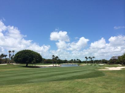 Ocean Reef Club: Dolphin, Key Largo