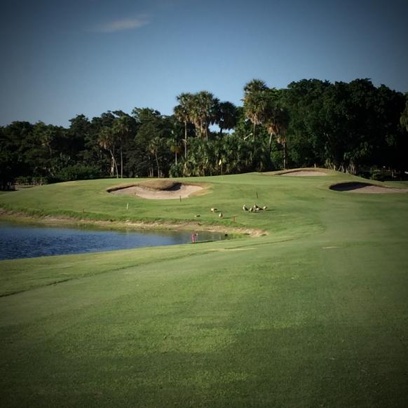Palm Aire Country Club & Resort: Cypress, Pompano Beach