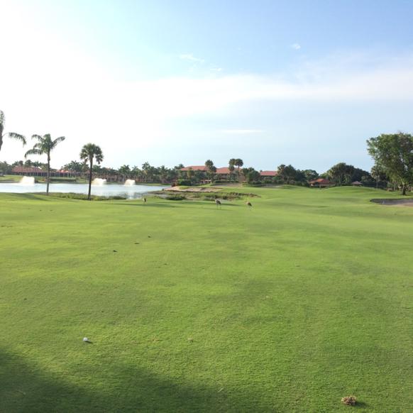PGA National Resort: The Palmer, Palm Beach Gardens
