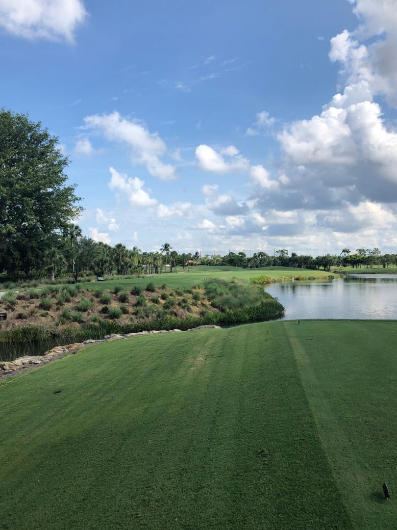 Royal Poinciana Golf Club: Pines, Naples