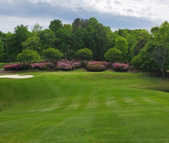 Chicopee Woods Golf Course: School/Village, Gainesville