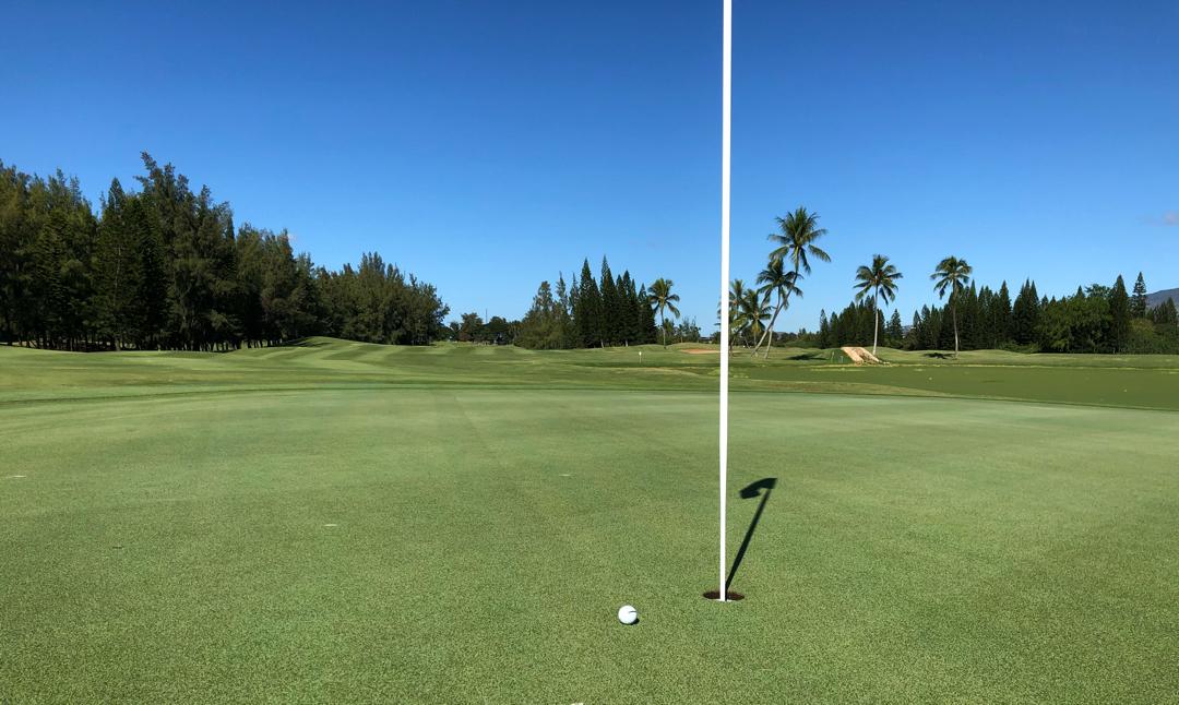Hawaii Prince Golf Club: A/B Course, Ewa Beach