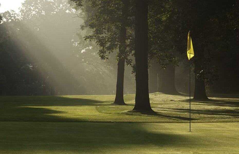 Old Wayne Golf Club: Executive, West Chicago