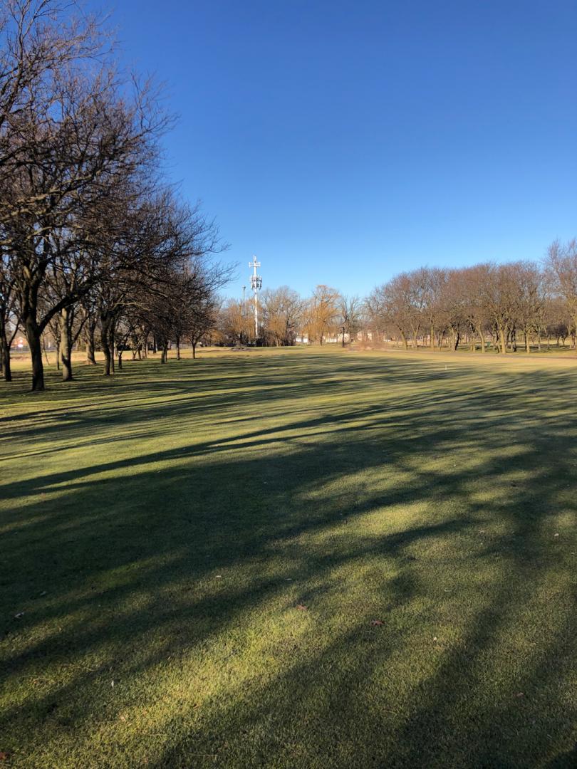 White Pines Golf Club: West, Bensenville