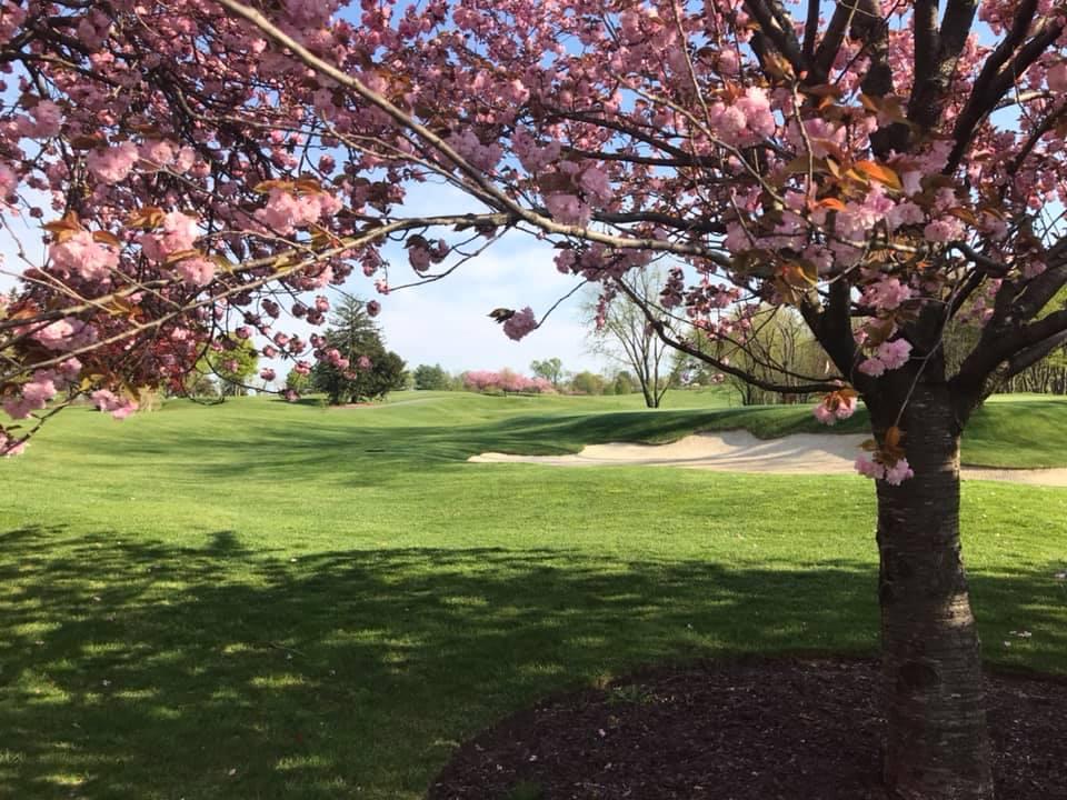 Country Club of Maryland, Towson