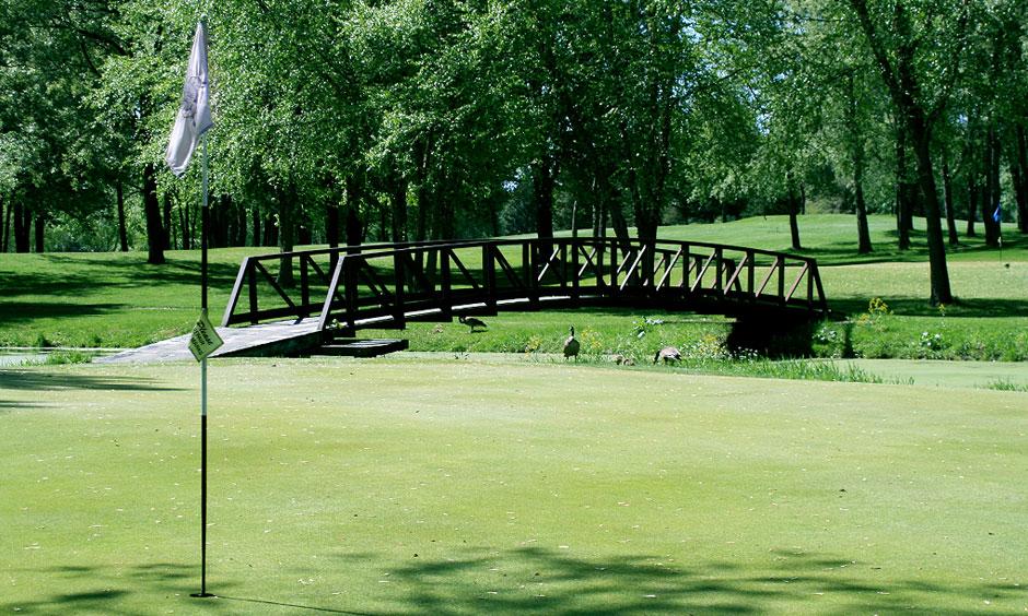 Cheshire Hills Golf Course: Blue Bird/Red Fox, Allegan