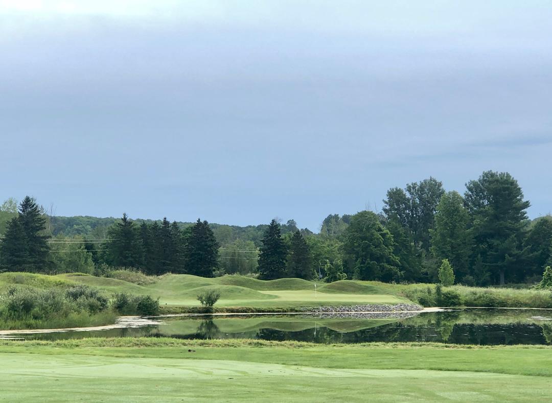 Grand Traverse Resort & Spa: The Bear, Acme
