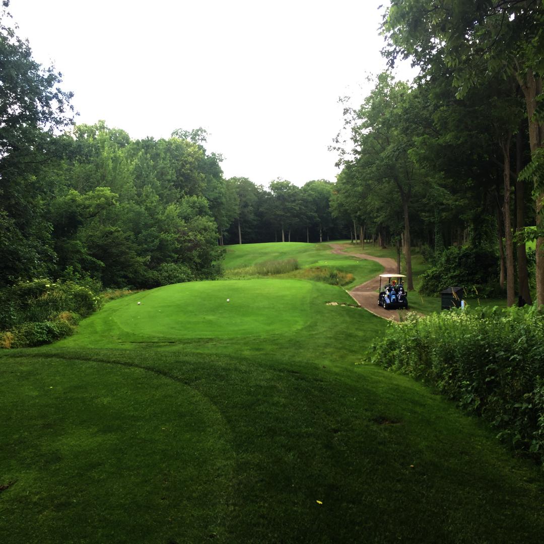 Links of Novi: West/East, Novi