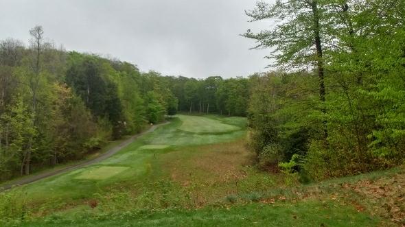 Manitou Passage Golf Club, Cedar