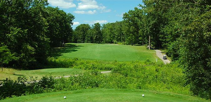 Twin Lakes Golf & Swim Club: Links/Woods, Oakland
