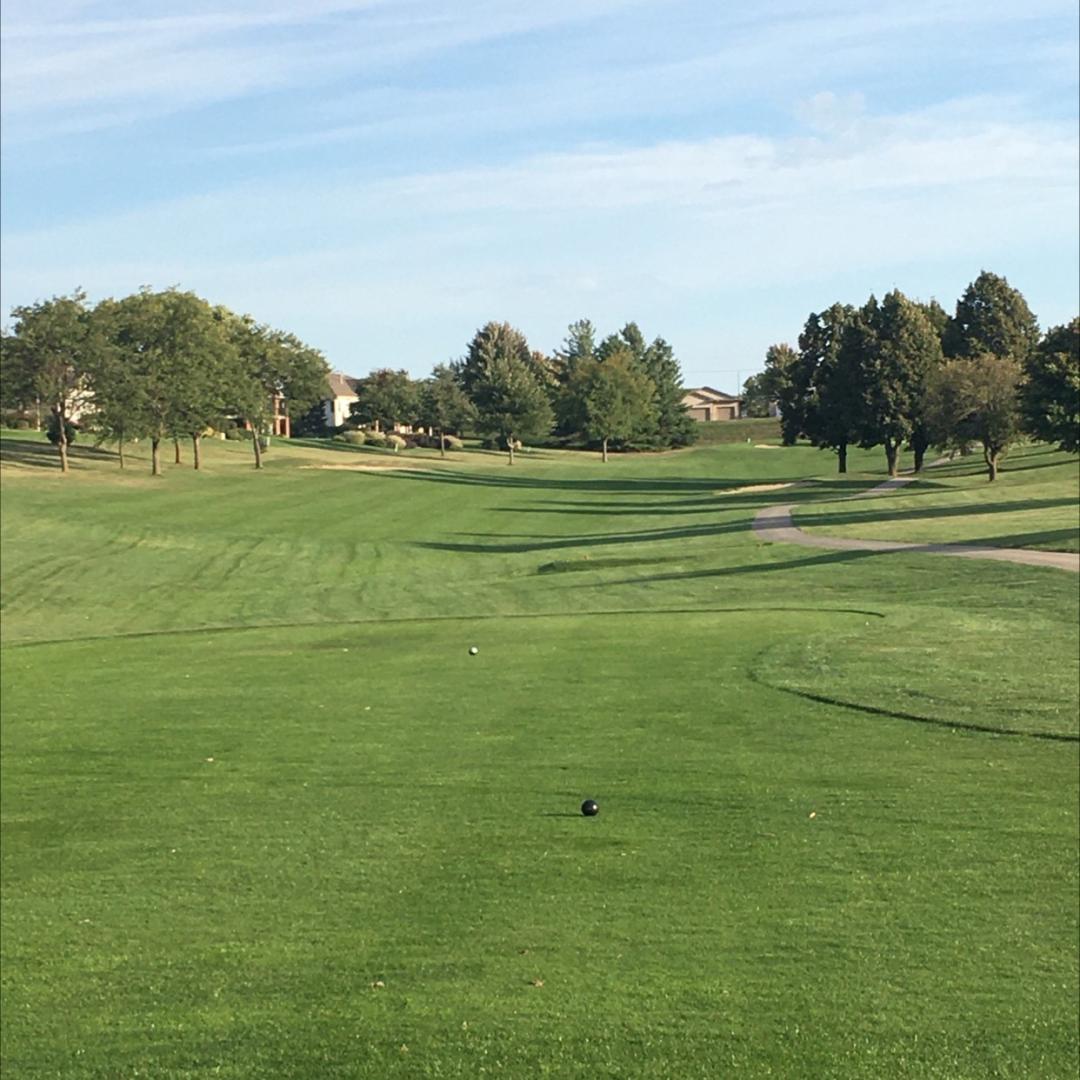 Tiburon Golf Club: Great/Hammer, Omaha