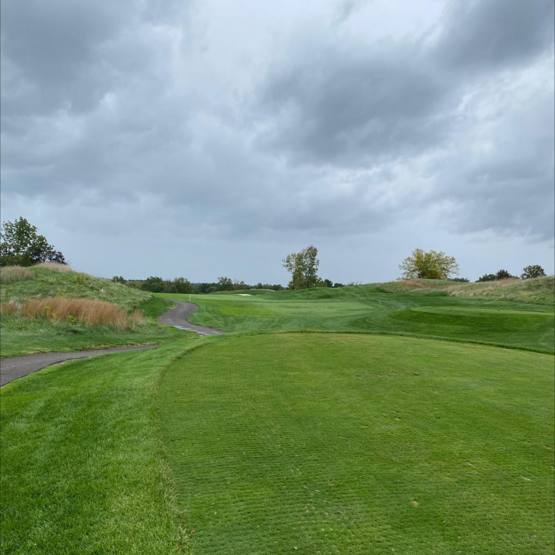 Fiddler's Elbow Country Club: Forest, Bedminster