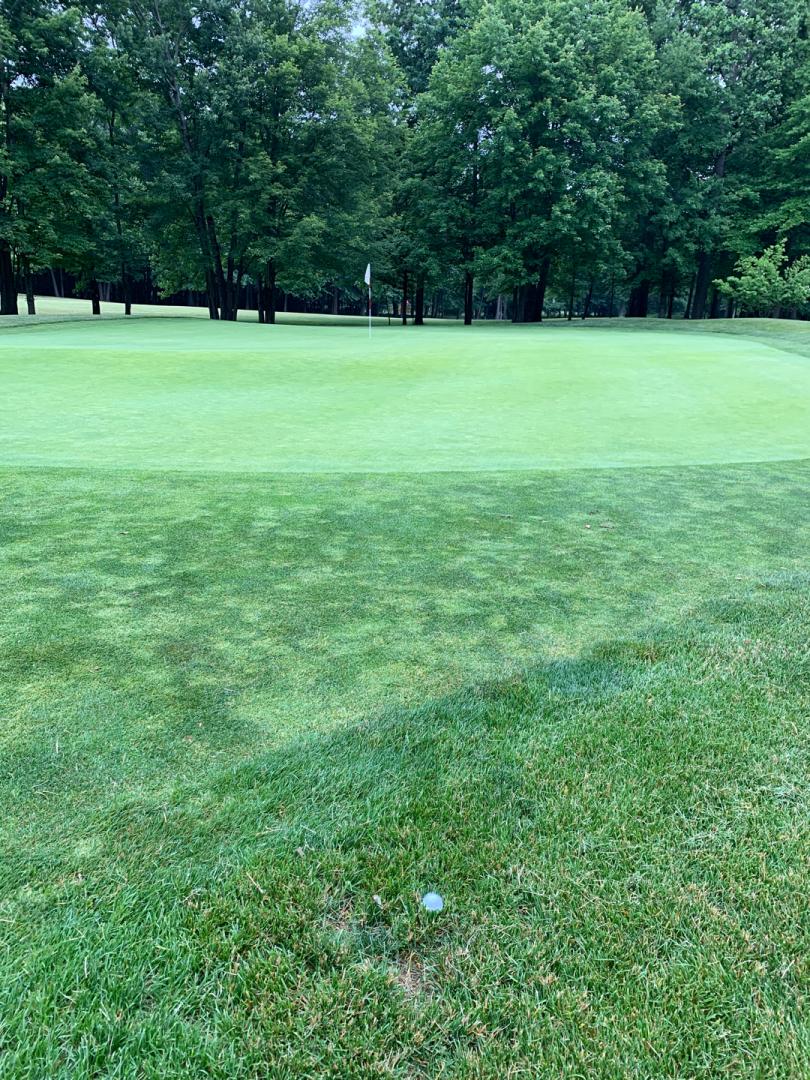 Blue Hill Golf Course: Woodlands/Lakeside, Pearl River