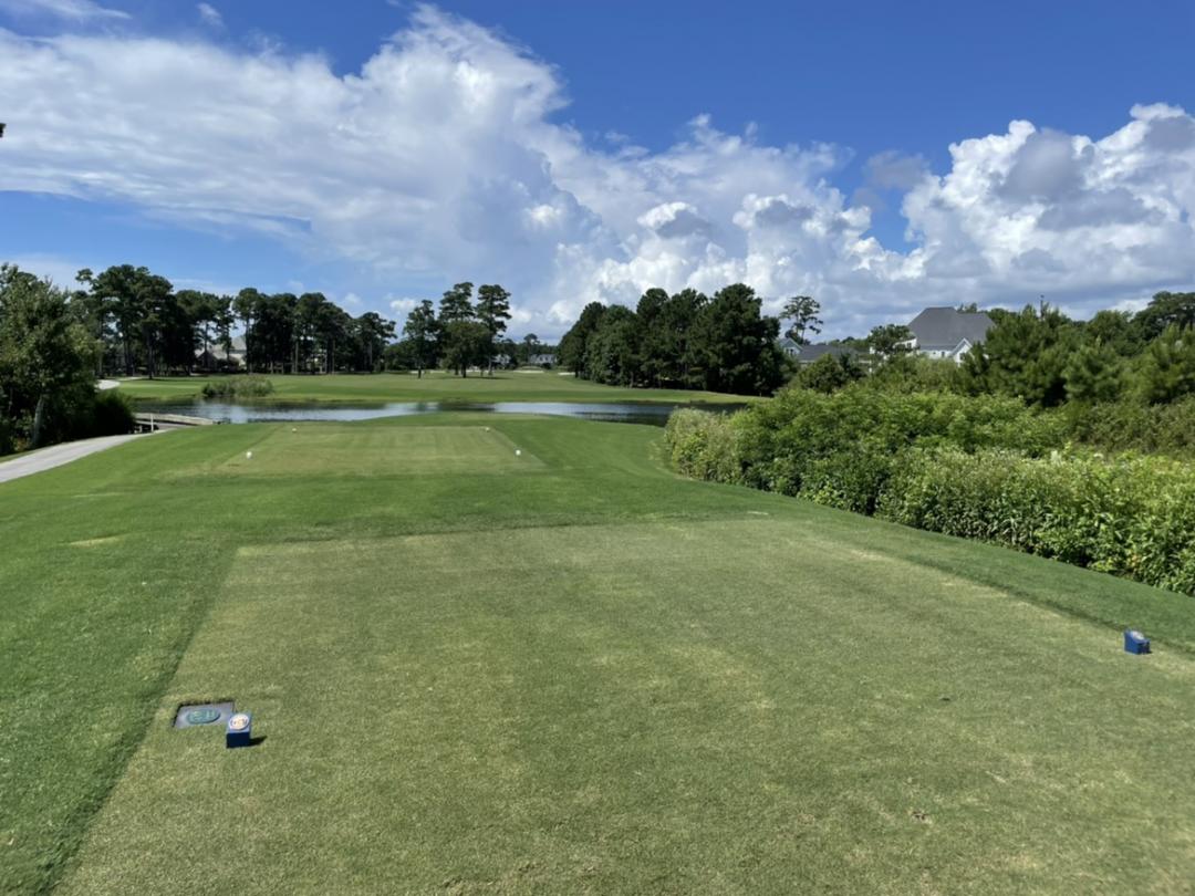 CC of Landfall: Pines/Marsh, Wilmington