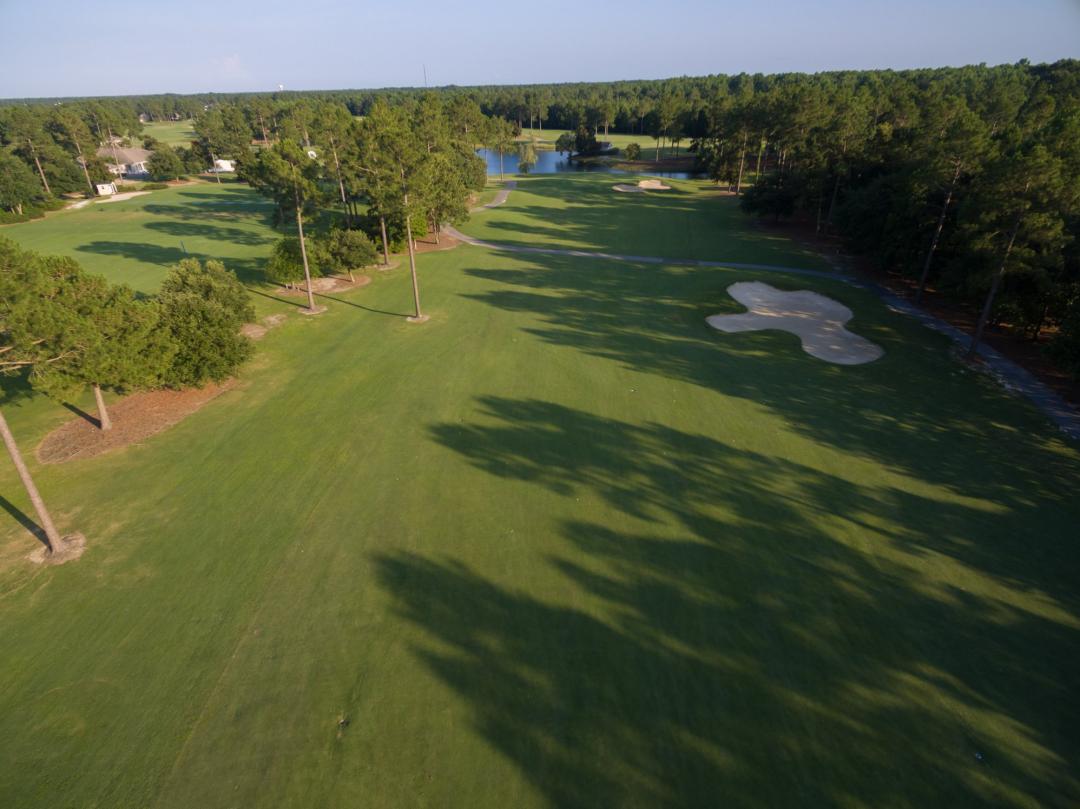 Magnolia Greens: Camelia/Azalea, Leland