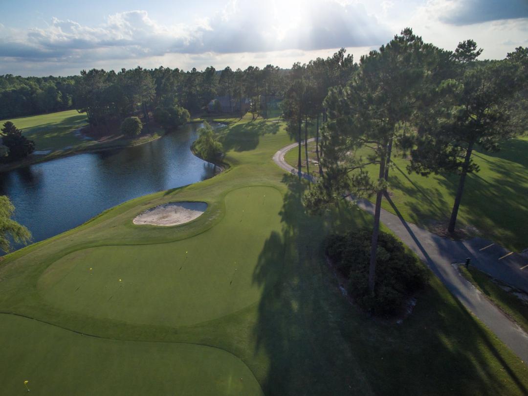 Magnolia Greens: Magnolia/Camellia, Leland