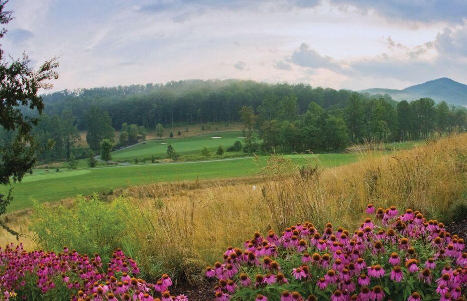 The Cliffs At Walnut Cove, Arden